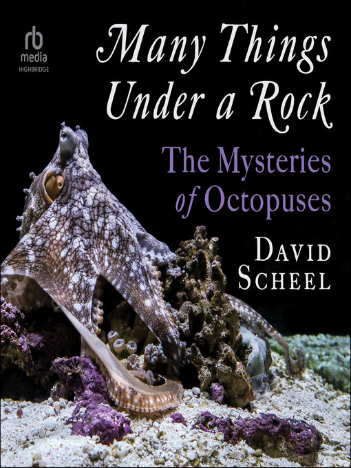 Title details for Many Things Under a Rock by David Scheel - Available